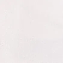 PAINTER PANT | WHITE sold by STAUD product image thumbnail 5