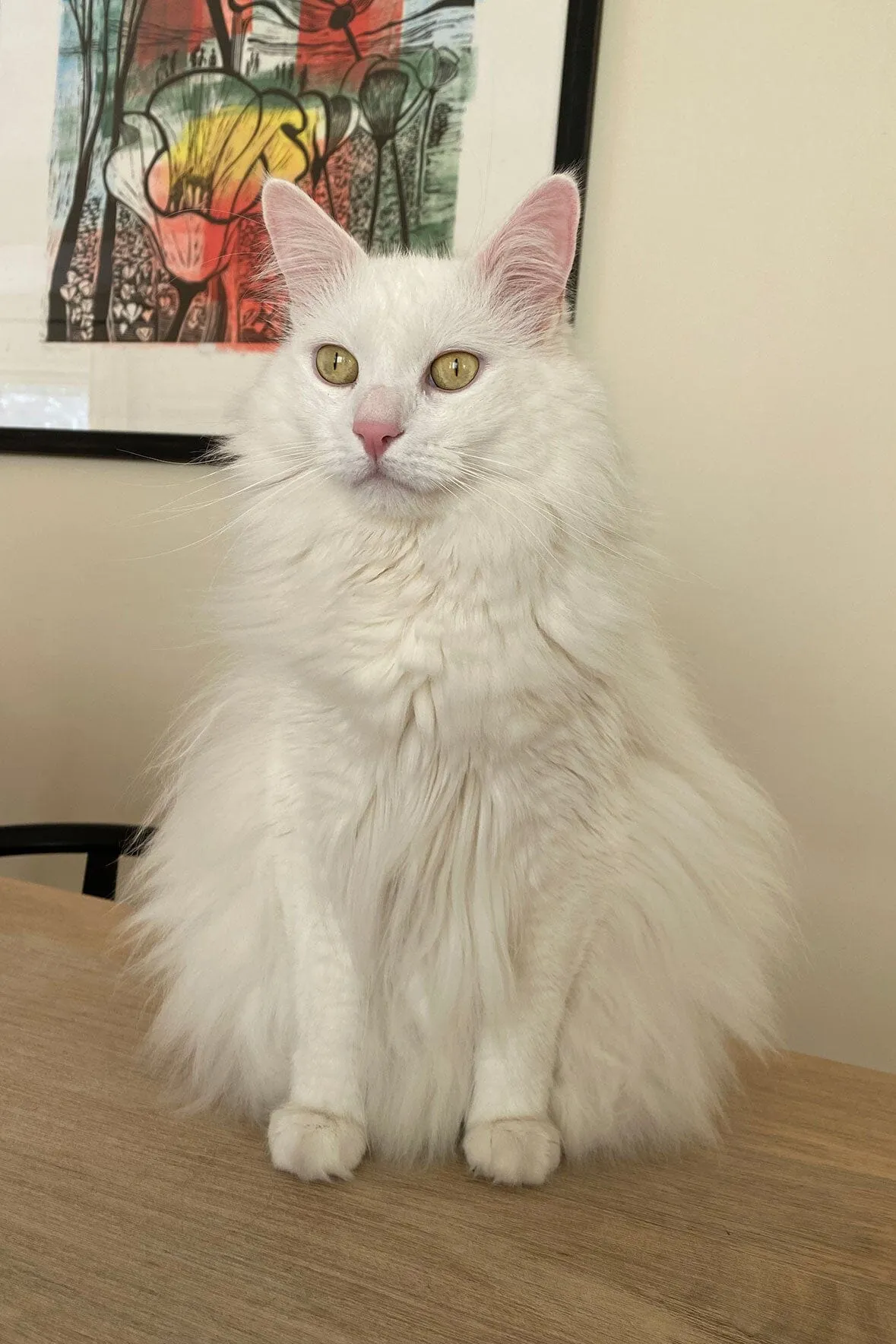 CUSTOM SHIRLEY LEATHER BAG | BLACK sold by STAUD product image thumbnail 2