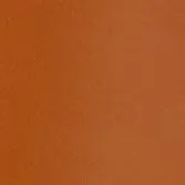 SHELL BUCKLE BELT | TAN sold by STAUD product image thumbnail 4