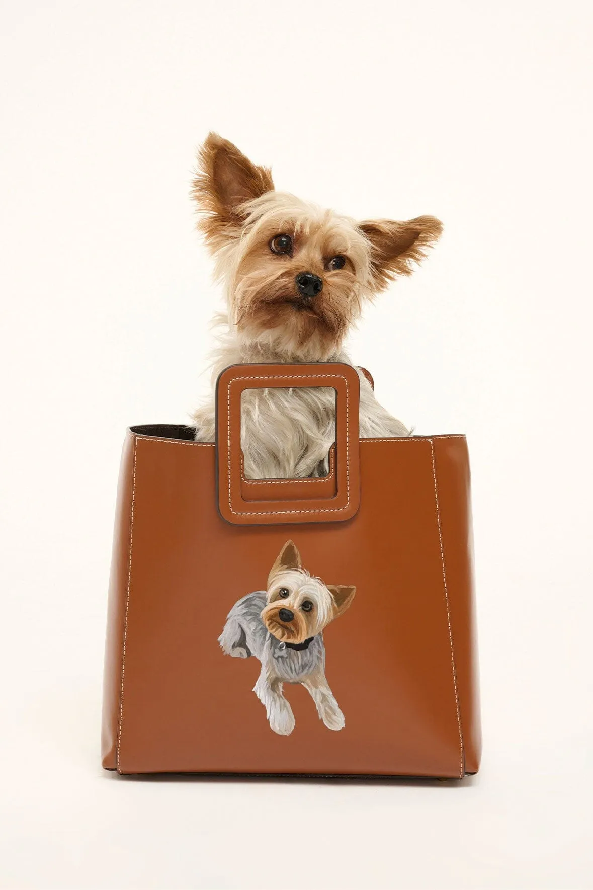 Shop the Look sold by STAUD