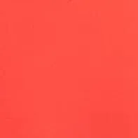 GOSSAMER ONE PIECE | RED ROSE sold by STAUD product image thumbnail 5