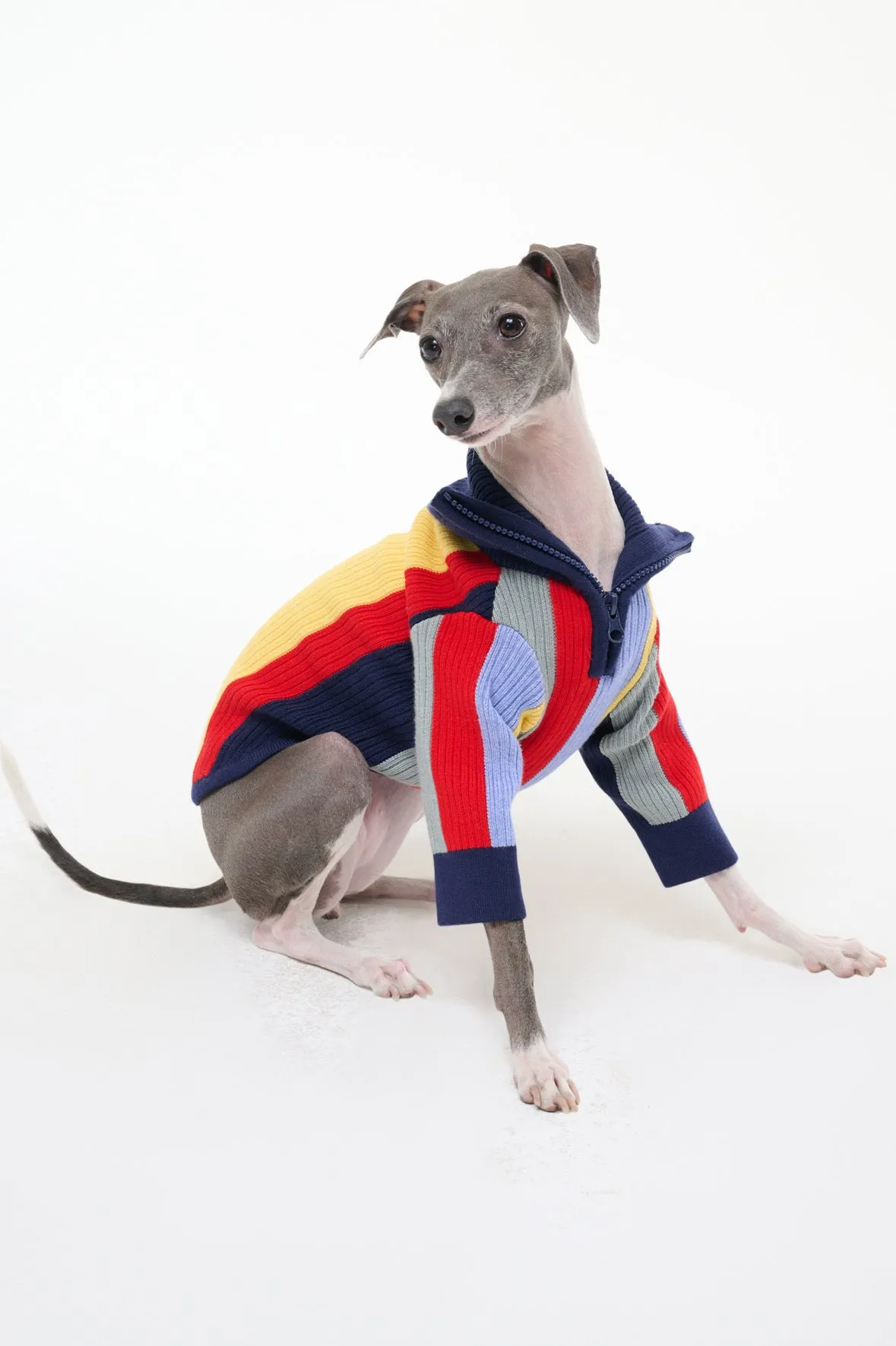 PET HAMPTON SWEATER | MARKET STRIPE sold by STAUD