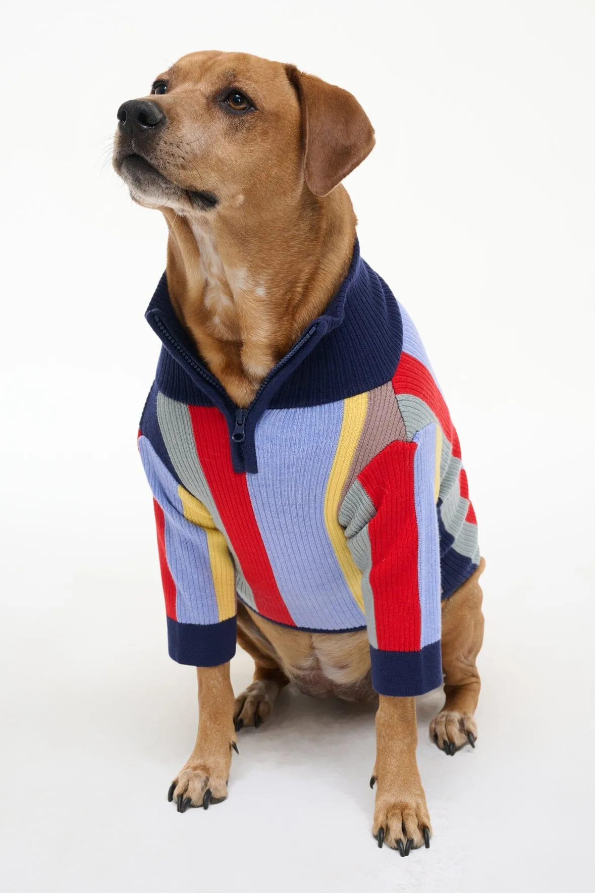 PET HAMPTON SWEATER | MARKET STRIPE sold by STAUD product image thumbnail 5