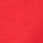 ANCHOR SHORT | CARDINAL sold by STAUD product image thumbnail 5