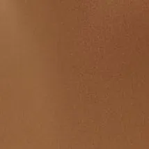 GEMMA BIKINI BOTTOM | BRONZE sold by STAUD product image thumbnail 5