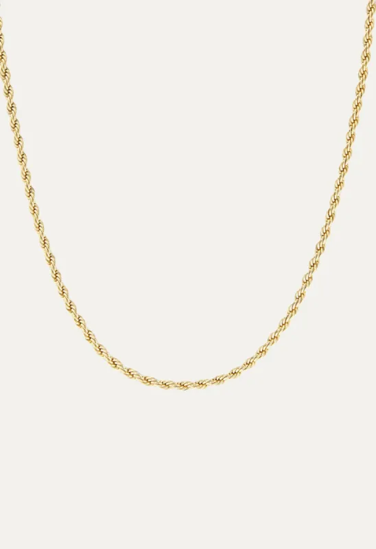 Mara Rope Chain Necklace Gold sold by Stella & Dot