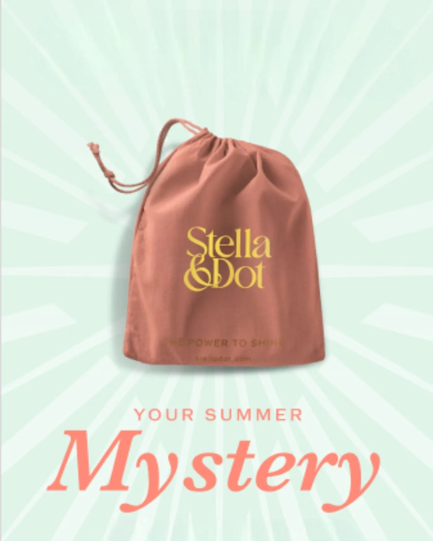 Summer Mystery Jewelry Bag sold by Stella & Dot