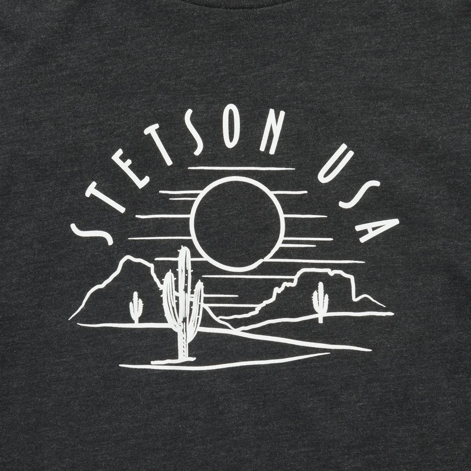 Cactus And Sunset Graphic Tee sold by Stetson product image thumbnail 3