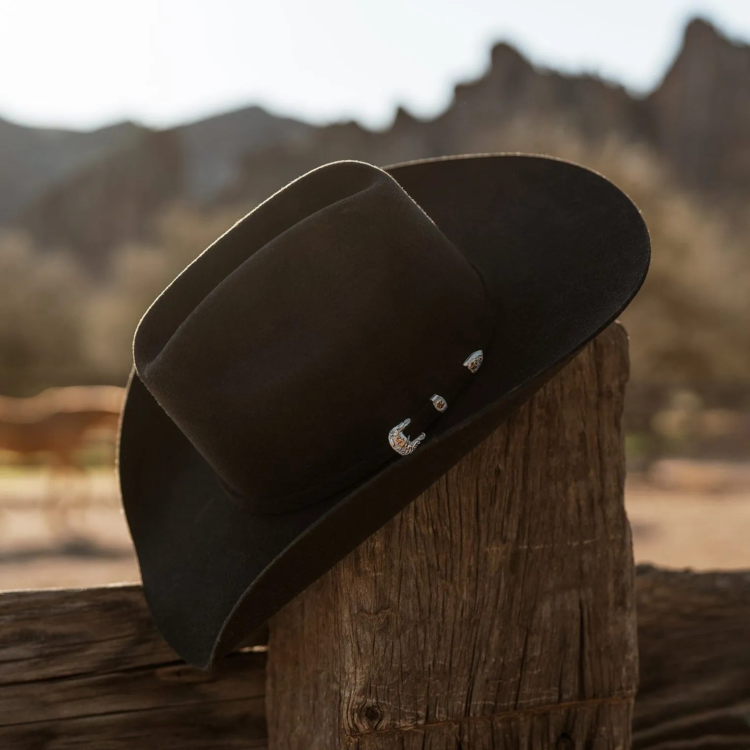 Brenham 4X Cowboy Hat sold by Stetson product image thumbnail 5