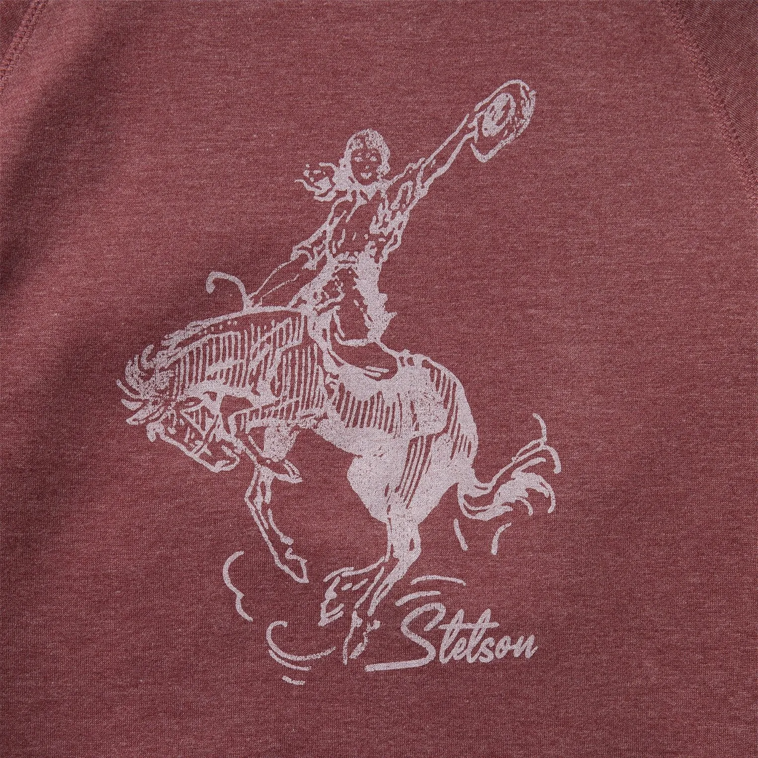 Giddy Up Hooded Sweatshirt sold by Stetson product image thumbnail 3