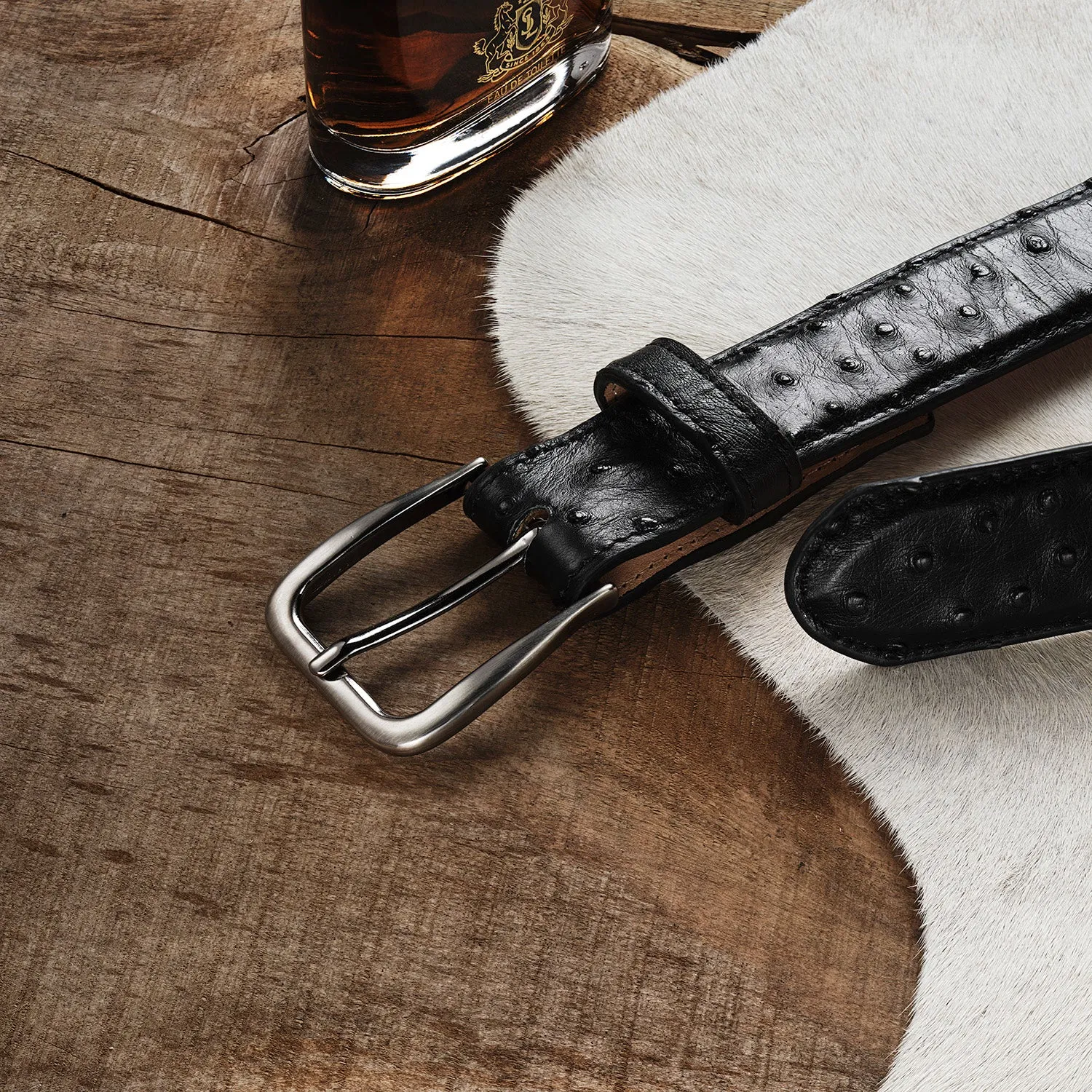 Ostrich Western Tab Belt - 1 1/4" Width sold by Stetson product image thumbnail 2