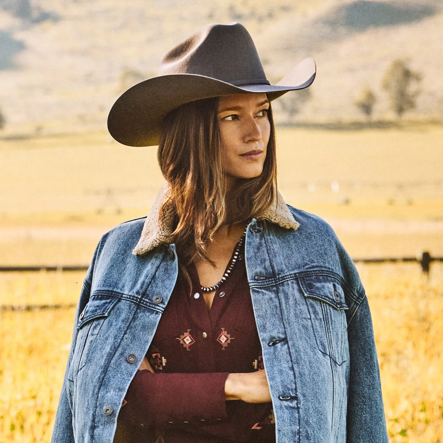 Skyline 6X Cowboy Hat sold by Stetson product image thumbnail 3