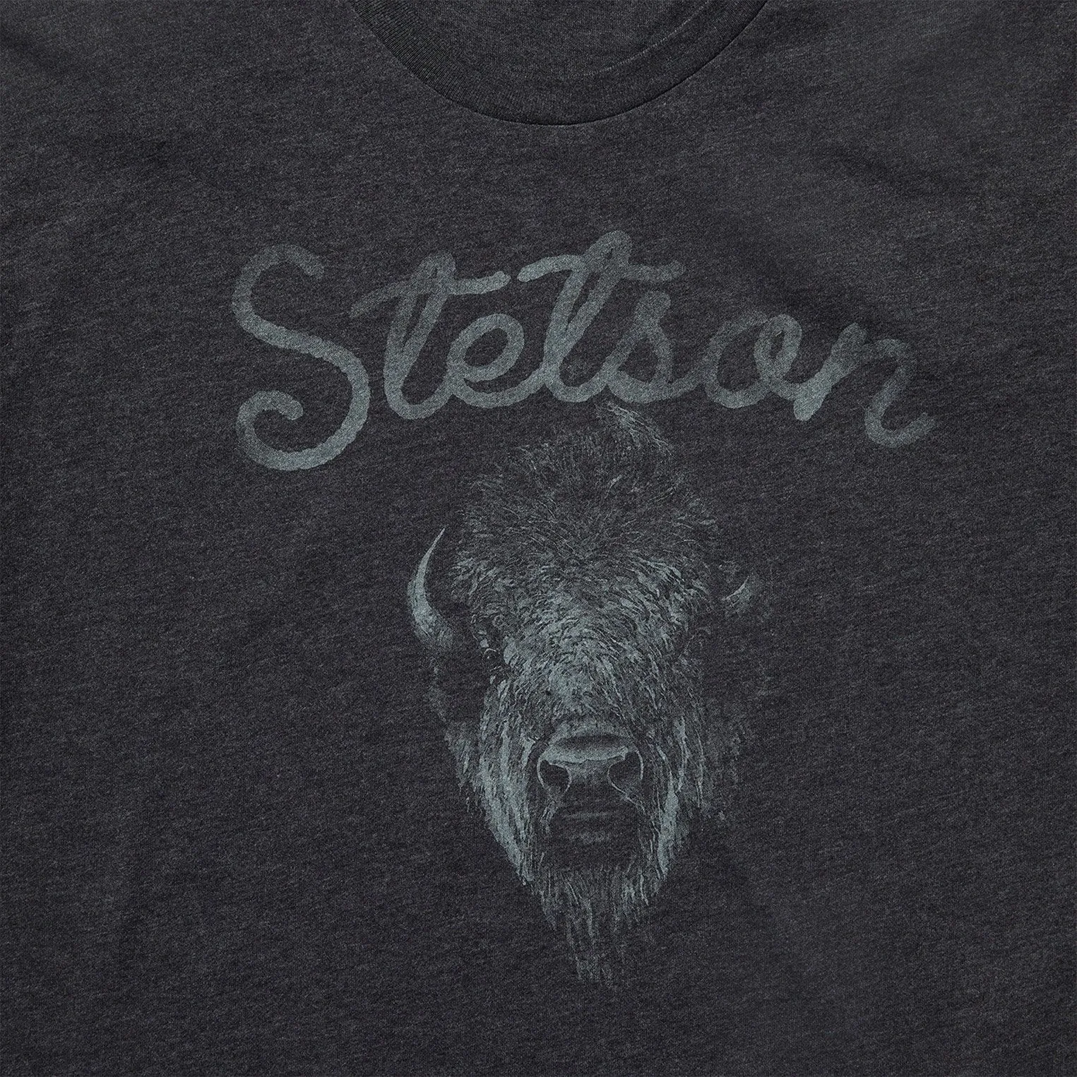 Bison Spirit Graphic Tee sold by Stetson product image thumbnail 3
