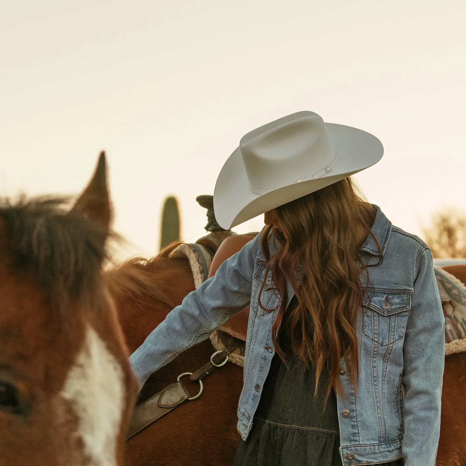 Stretch Denim Jacket sold by Stetson product image thumbnail 2