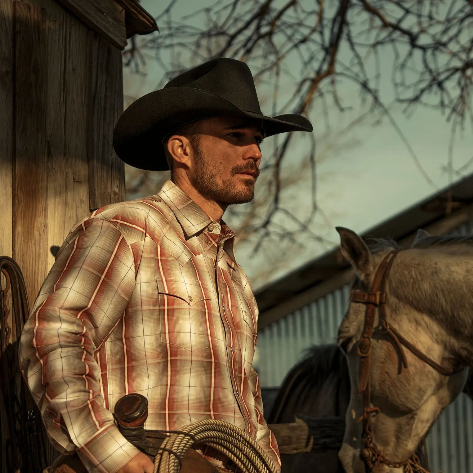 El Amo 500X Premier Cowboy Hat sold by Stetson product image thumbnail 2