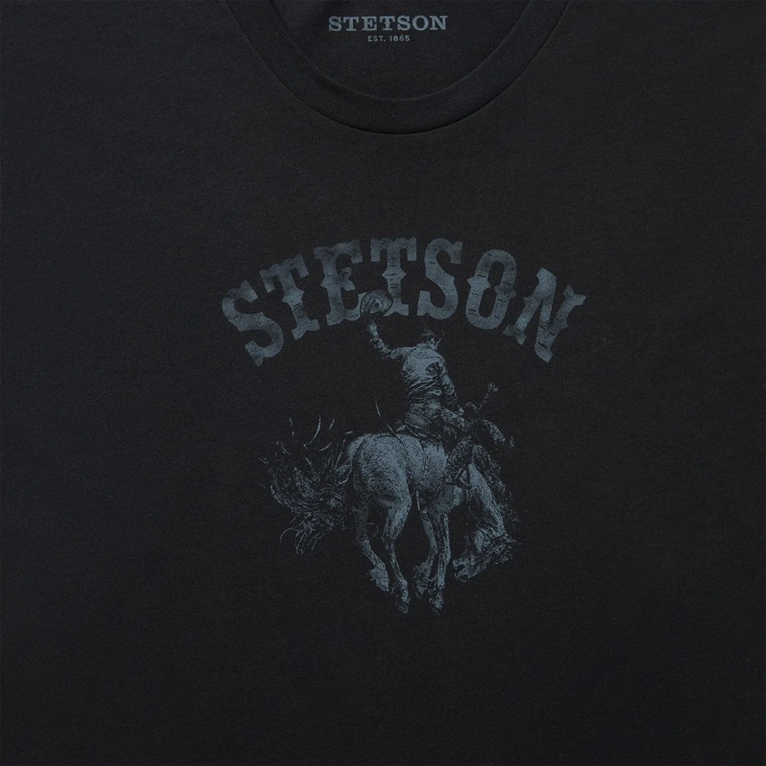 Giddy Up Vintage Graphic Tee sold by Stetson product image thumbnail 3