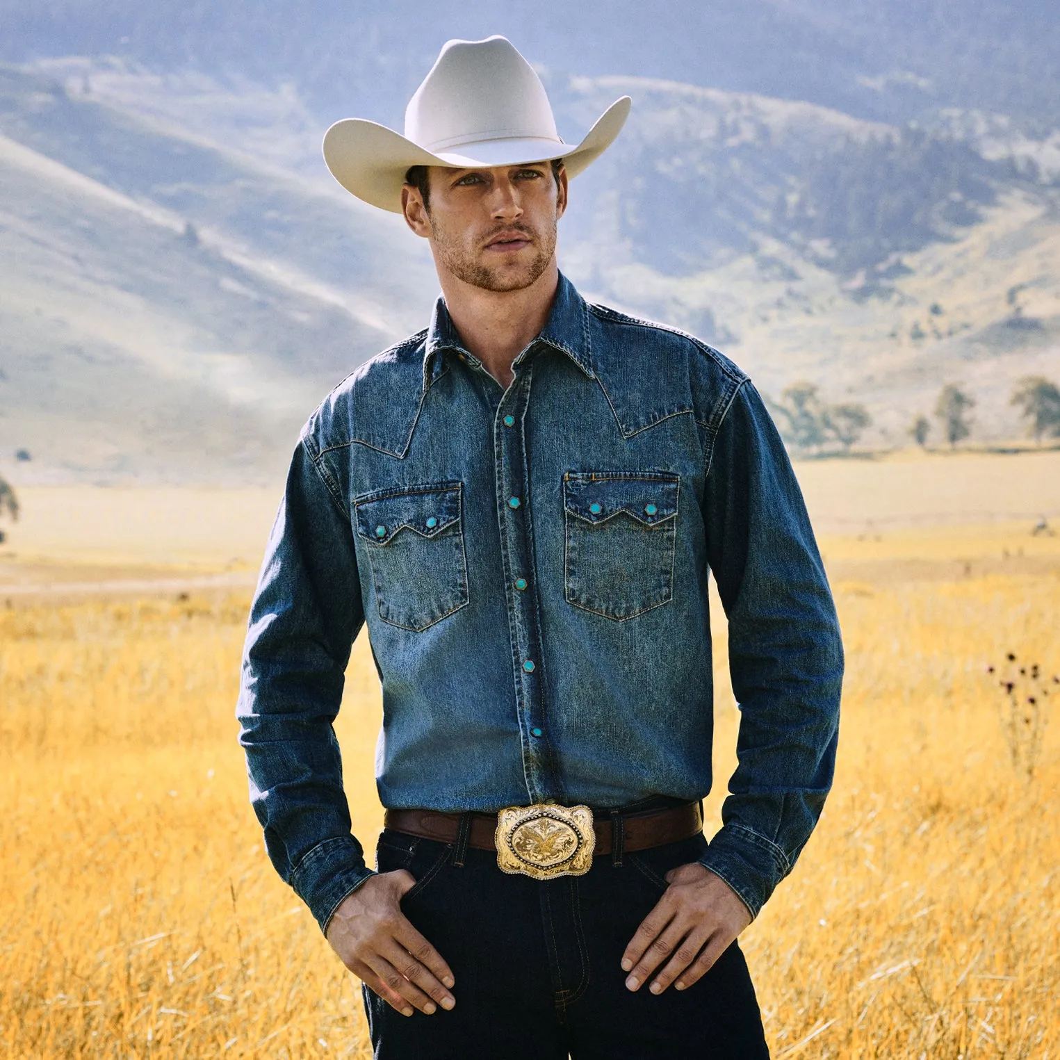 Skyline 6X Cowboy Hat sold by Stetson product image thumbnail 4