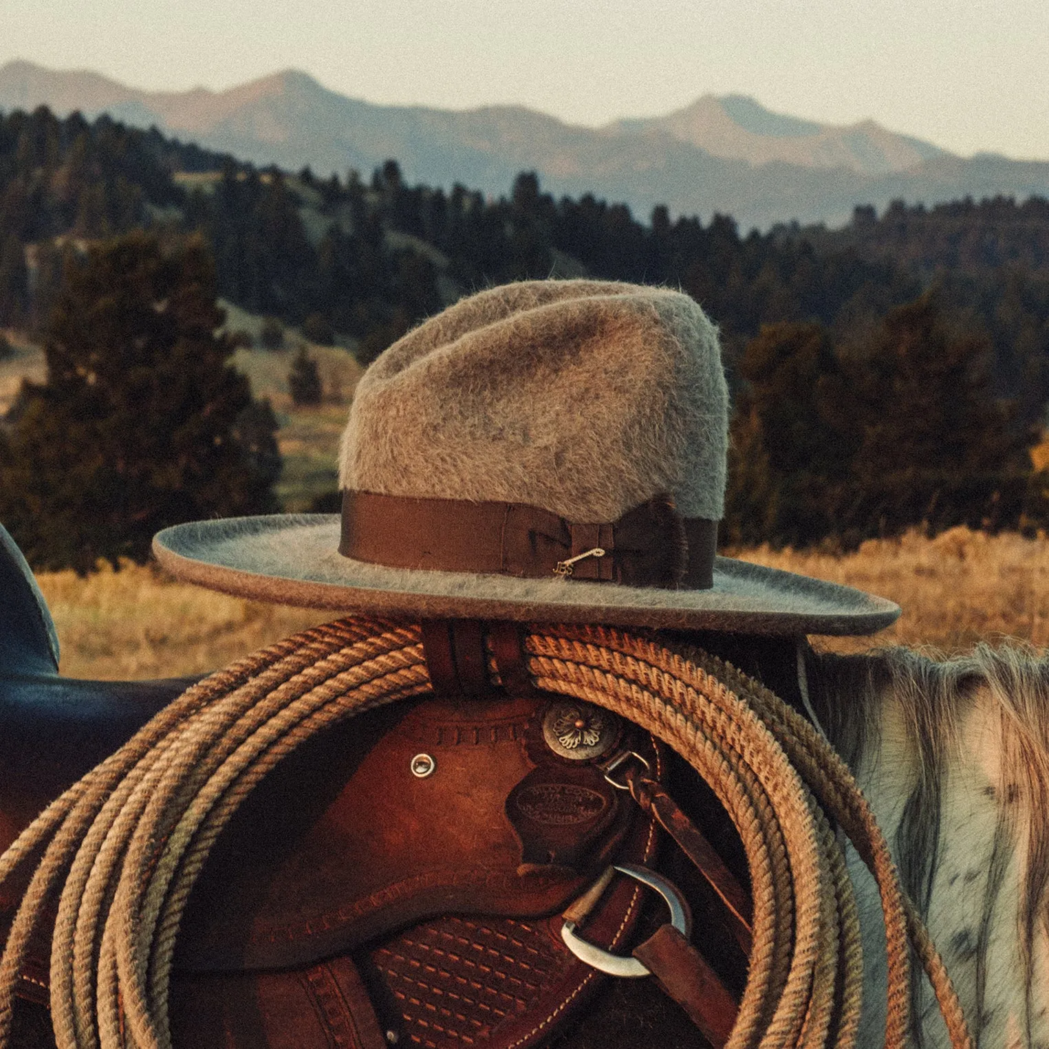 Boss Raw Edge 10X Cowboy Hat sold by Stetson product image thumbnail 4