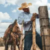 Classic 20X Straw Cowboy Hat sold by Stetson