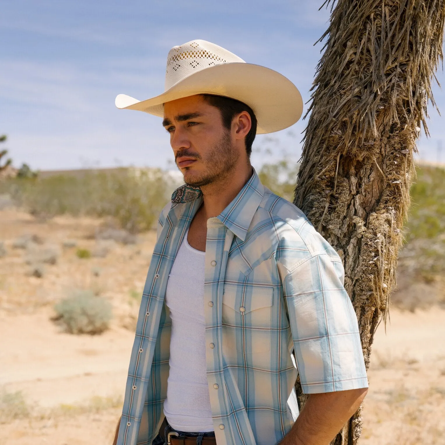 Baker 20X Straw Cowboy Hat sold by Stetson product image thumbnail 2