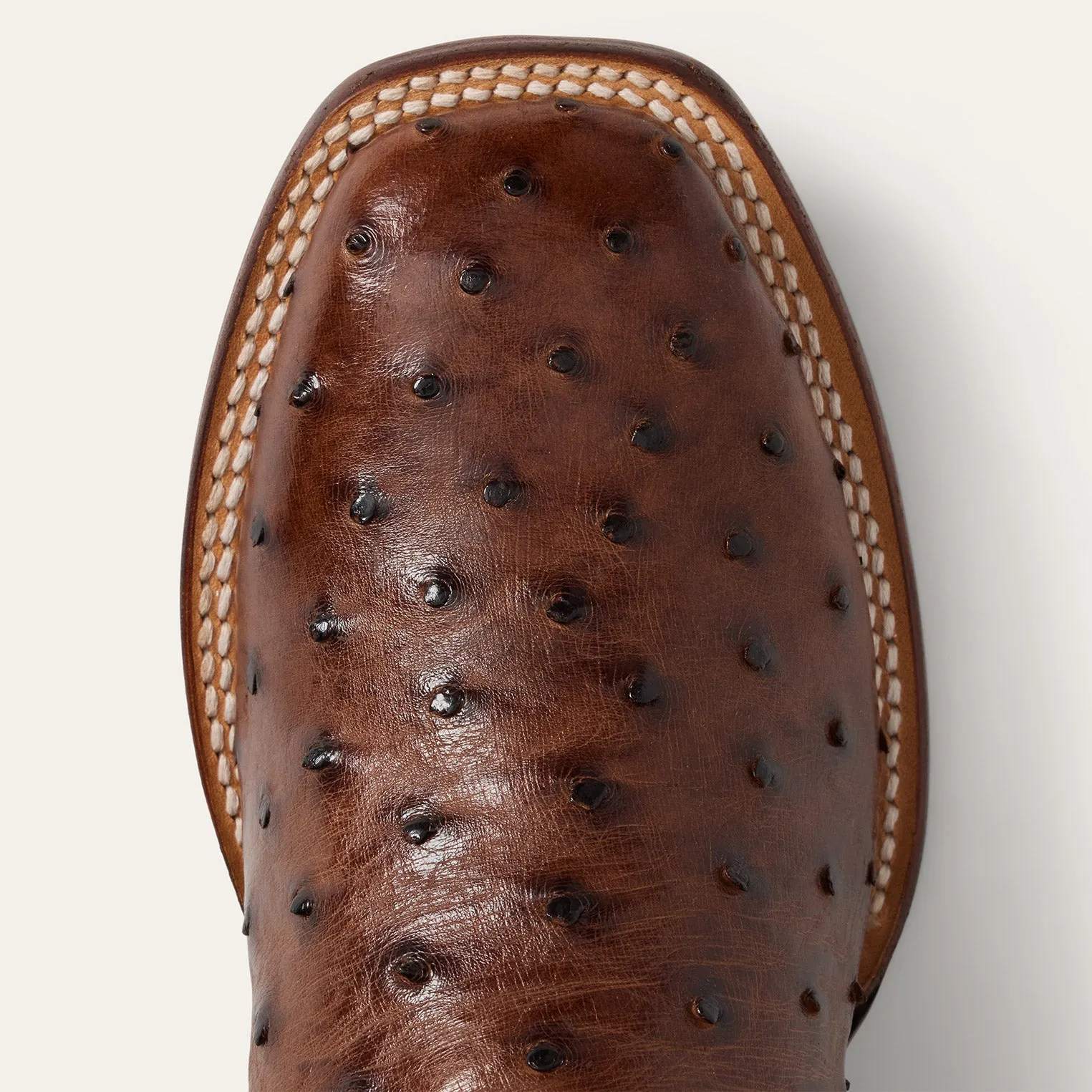 Ozzy Ostrich Boot sold by Stetson product image thumbnail 5