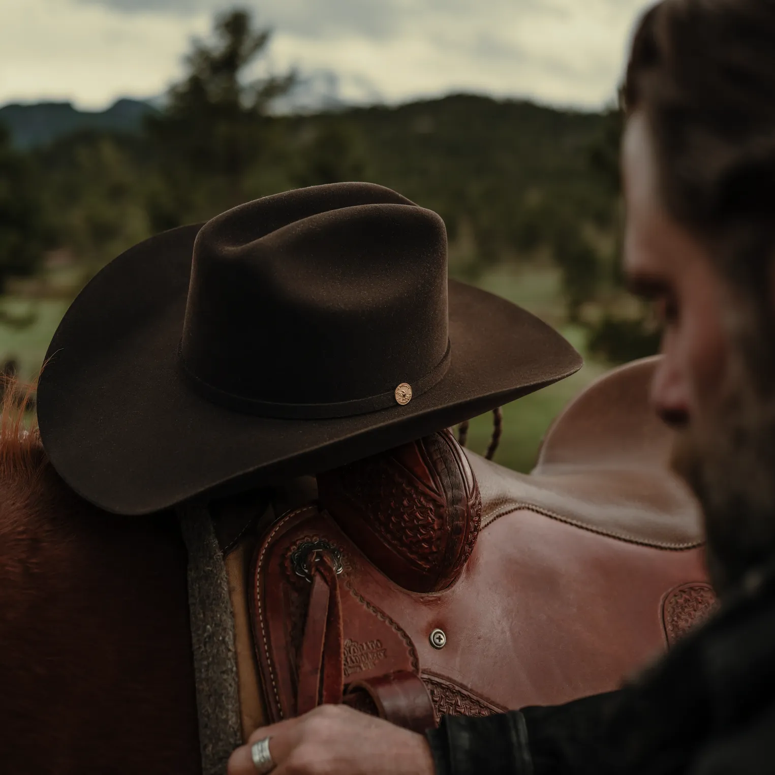 The Golden Eagle 100X sold by Stetson product image thumbnail 3