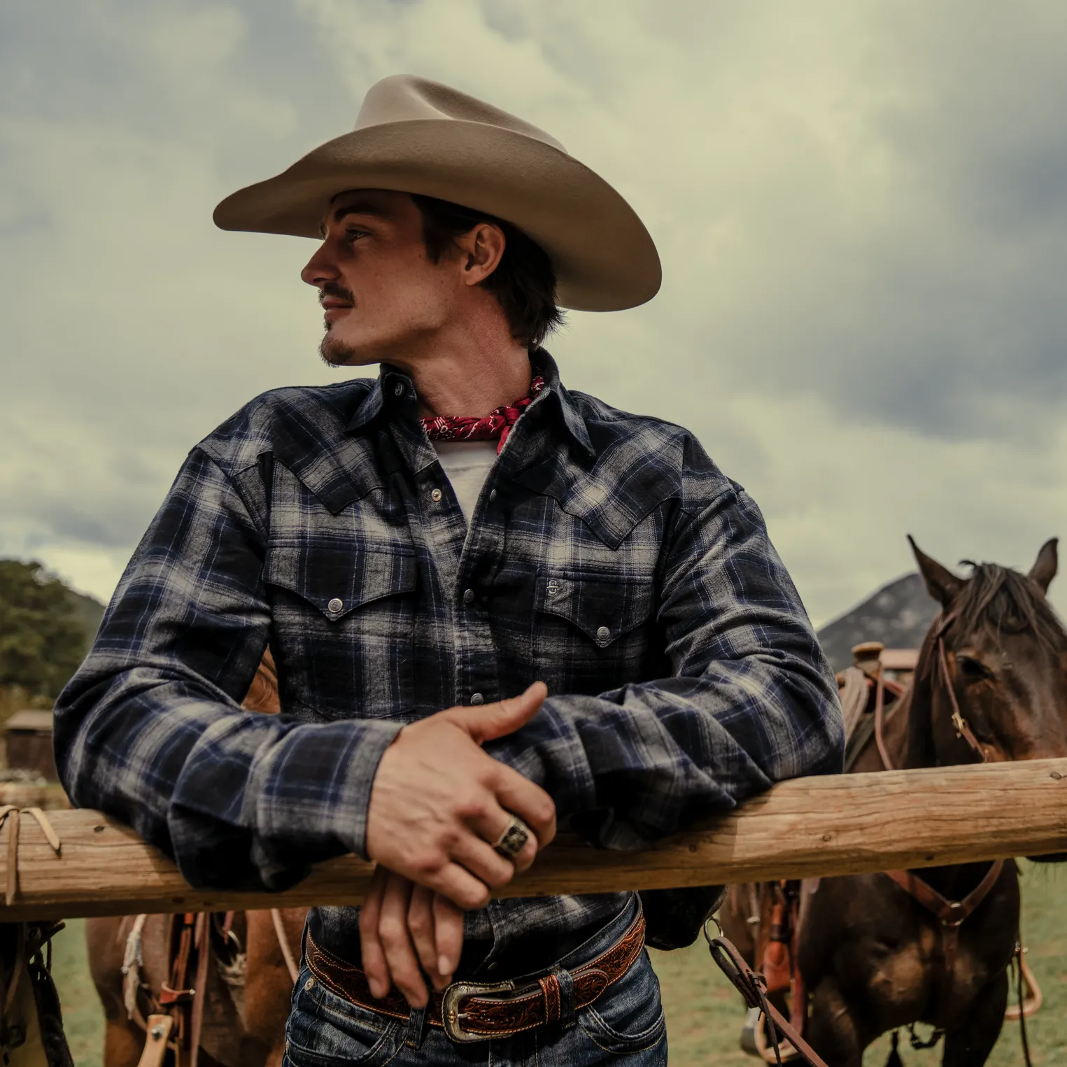 Brushed Twill Plaid Western Shirt sold by Stetson product image thumbnail 2