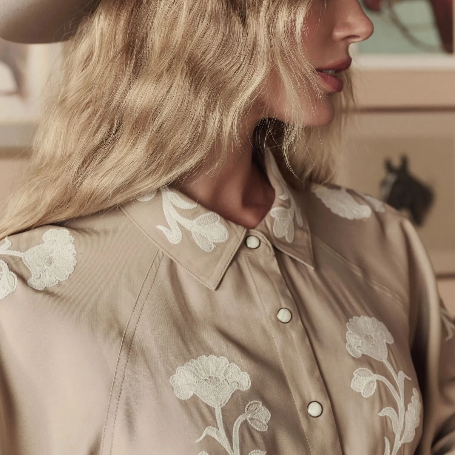 Stetson & THE GREAT. The Western Embroidered Herd Dress sold by Stetson product image thumbnail 4