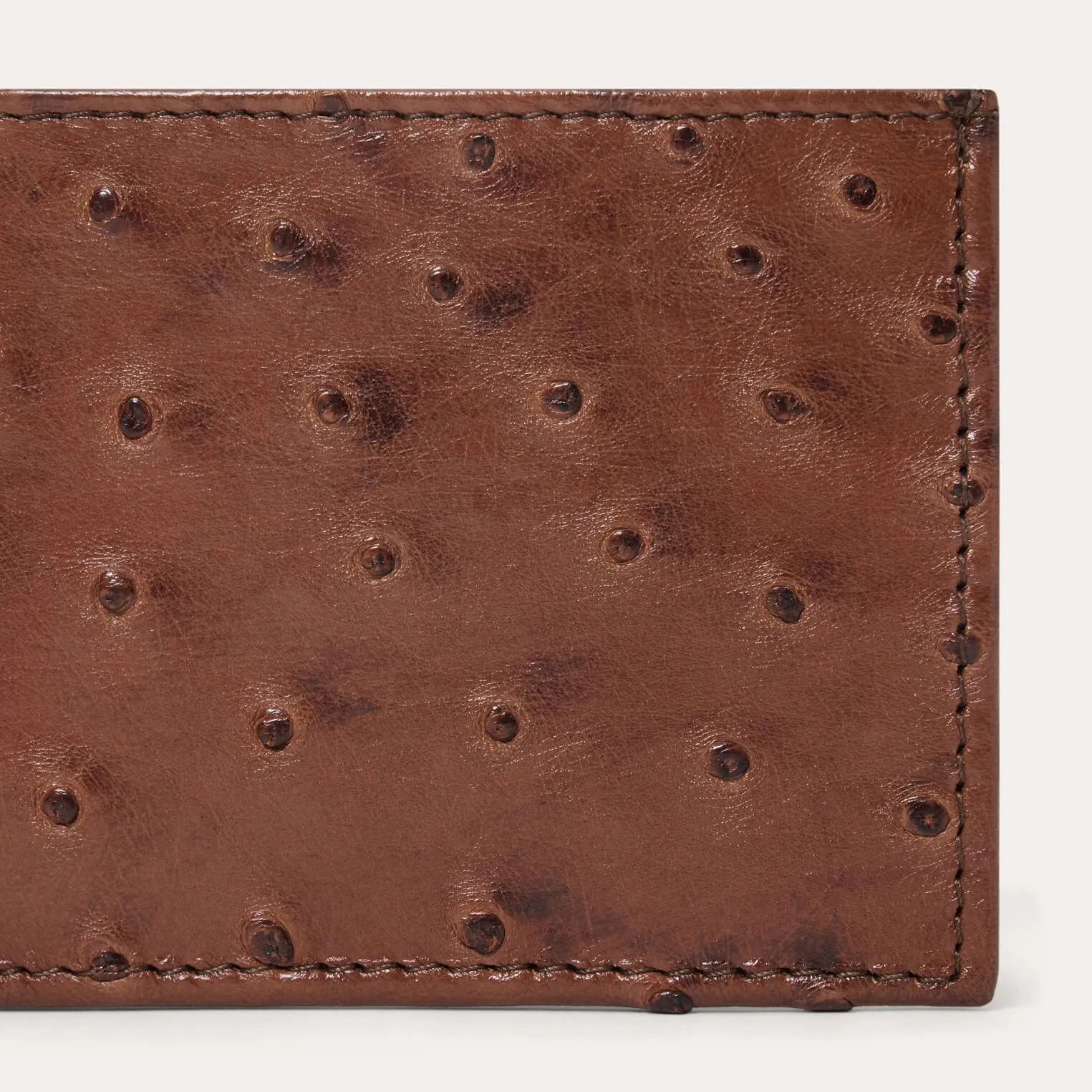 Ostrich Bi-Fold Wallet sold by Stetson product image thumbnail 4