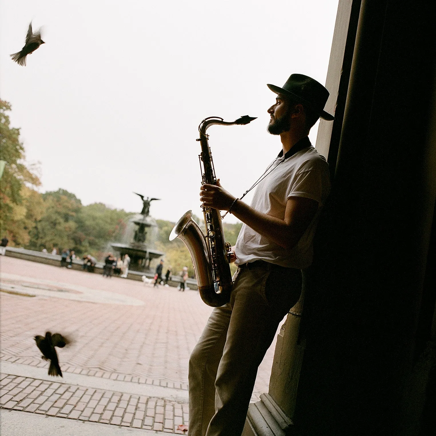 Temple Fedora sold by Stetson product image thumbnail 5