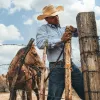Classic 10X Straw Cowboy Hat sold by Stetson