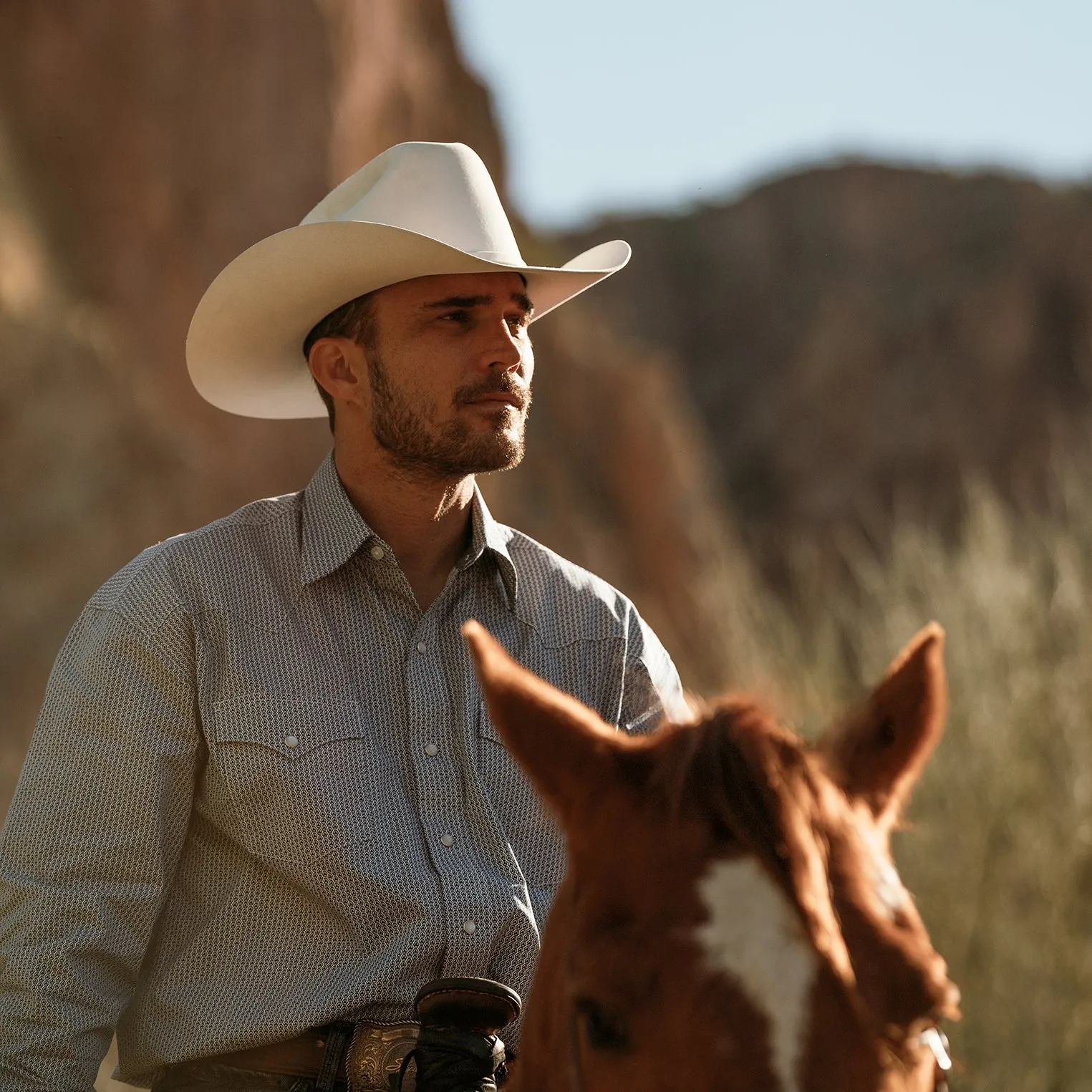 Shasta 10X Premier Cowboy Hat sold by Stetson product image thumbnail 4