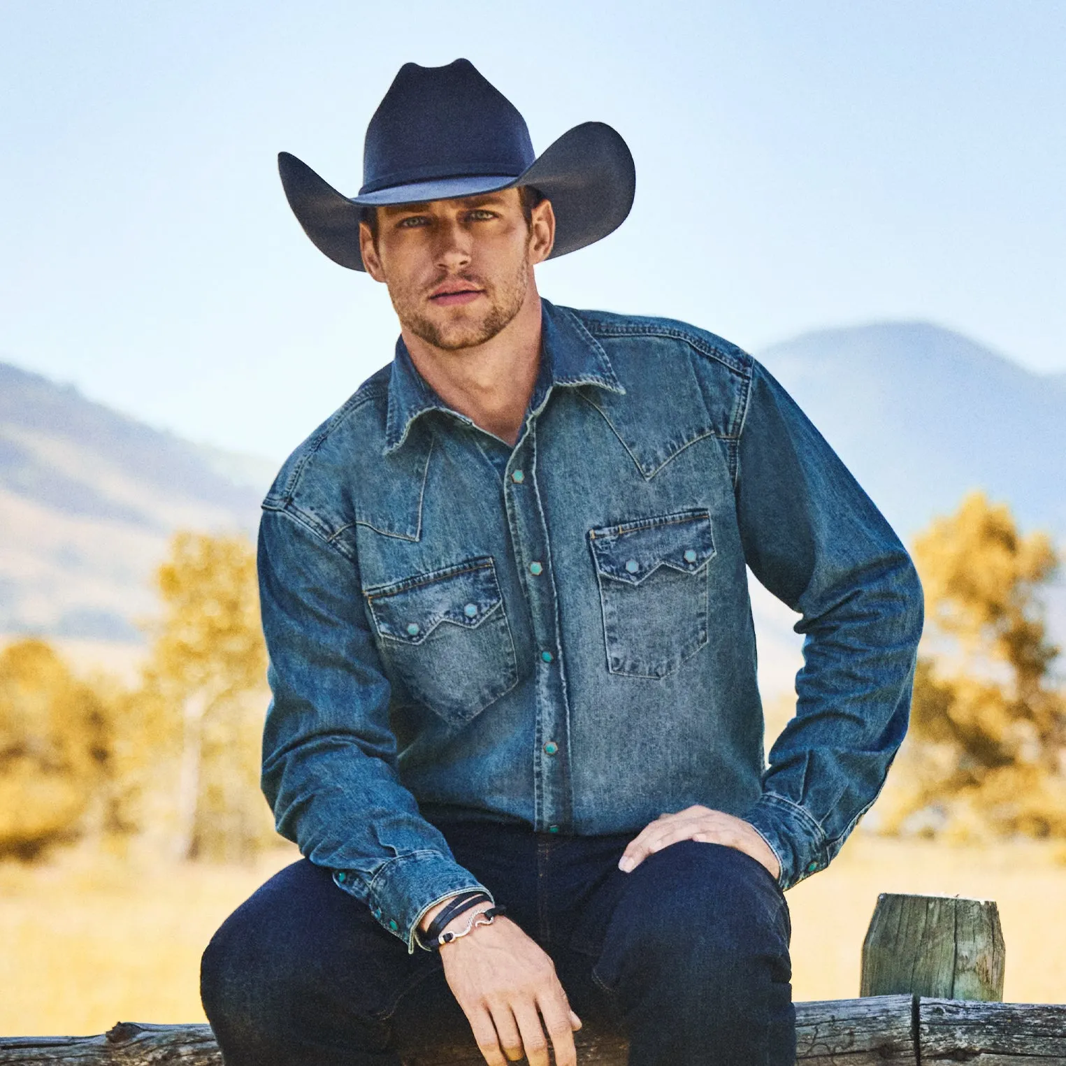 Mason 4X Cowboy Hat sold by Stetson product image thumbnail 2