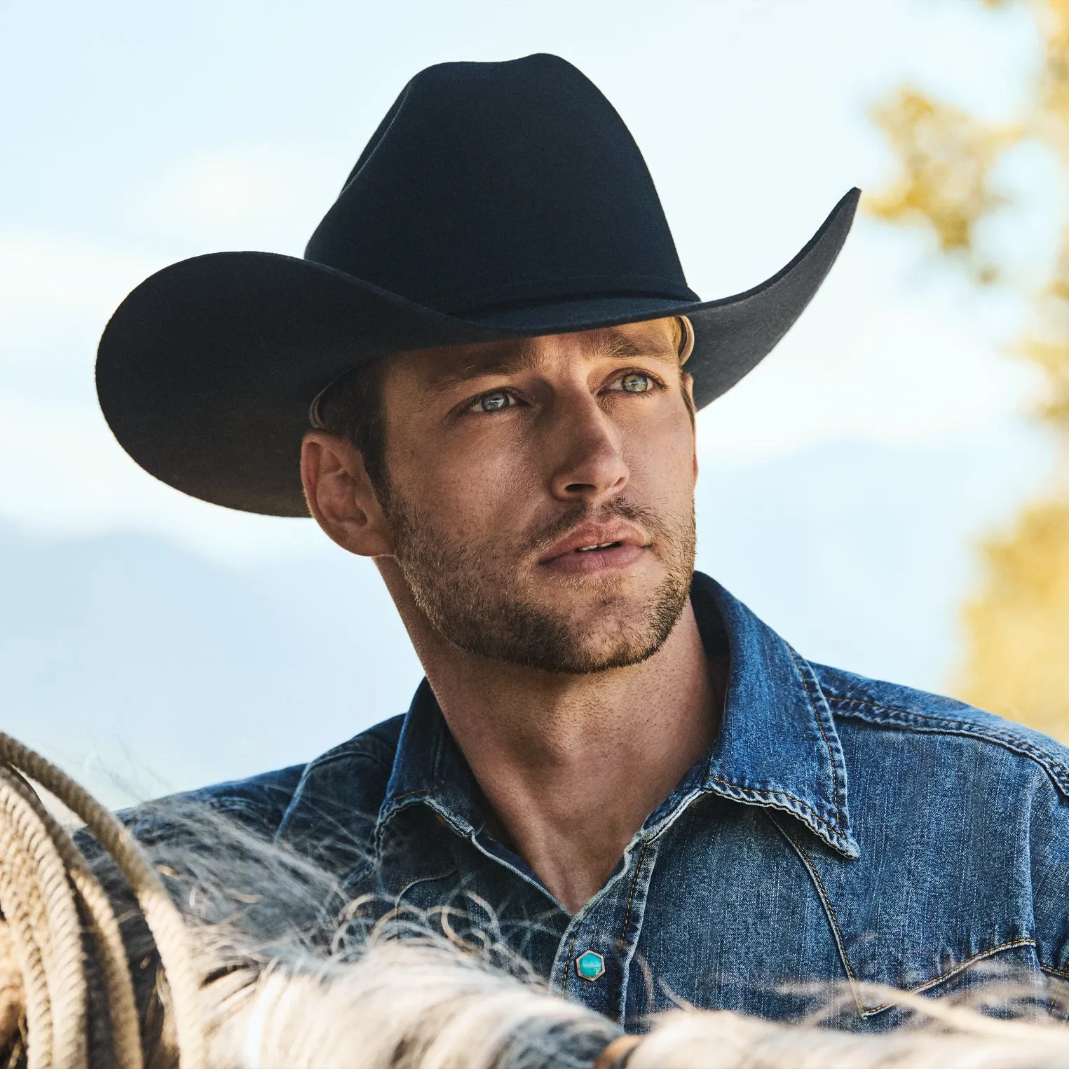 Corral 4X Cowboy Hat sold by Stetson product image thumbnail 2