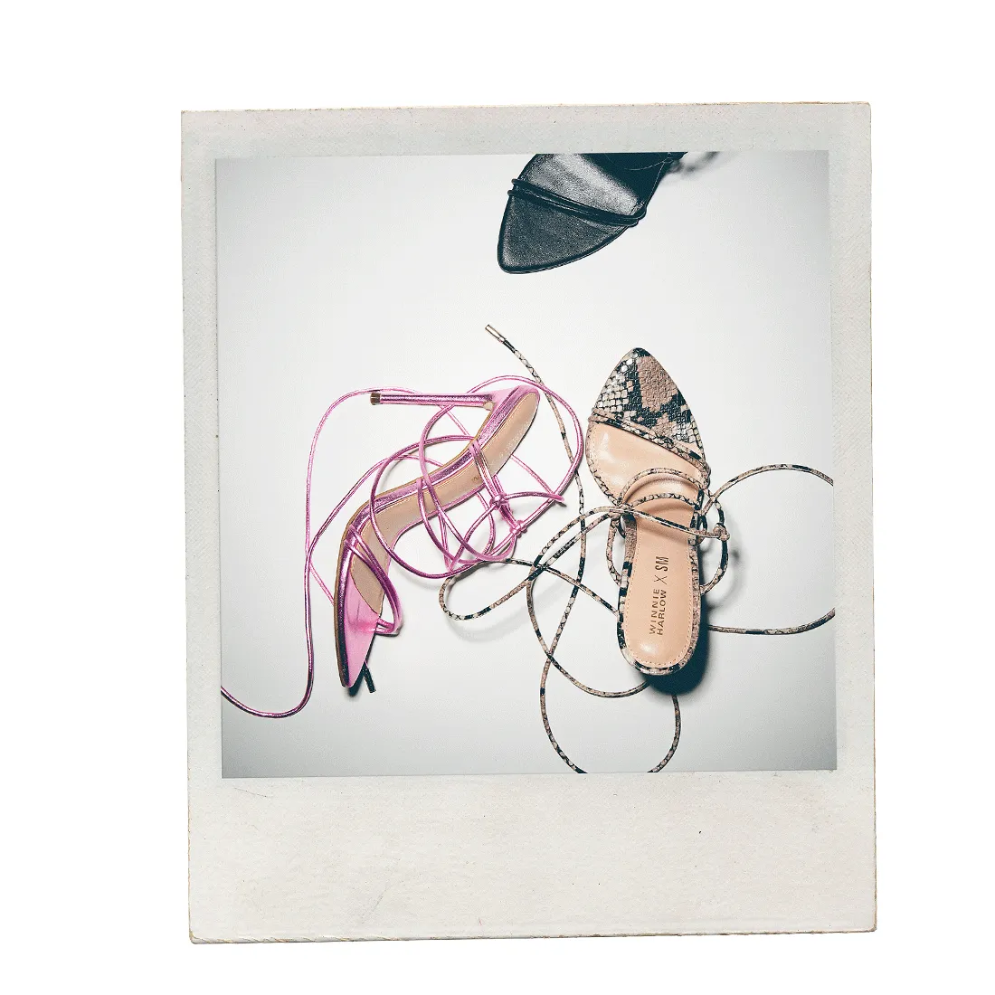 BADGIRL BEIGE SNAKE - SM REBOOTED sold by Steve Madden product image thumbnail 2