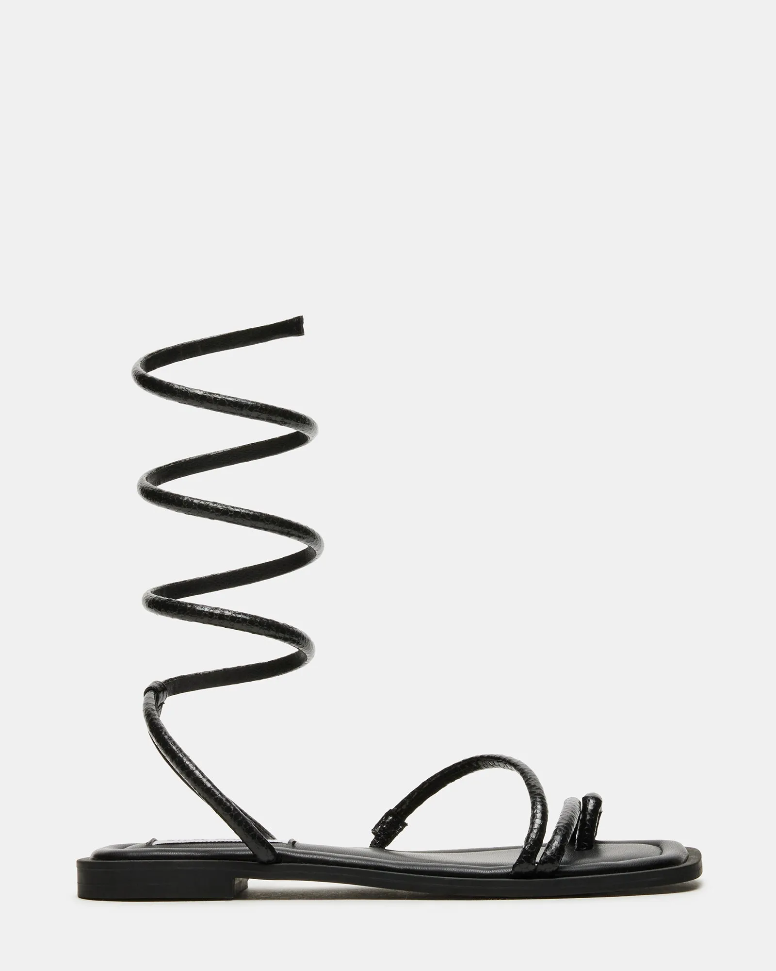 ANTELLE BLACK SNAKE sold by Steve Madden