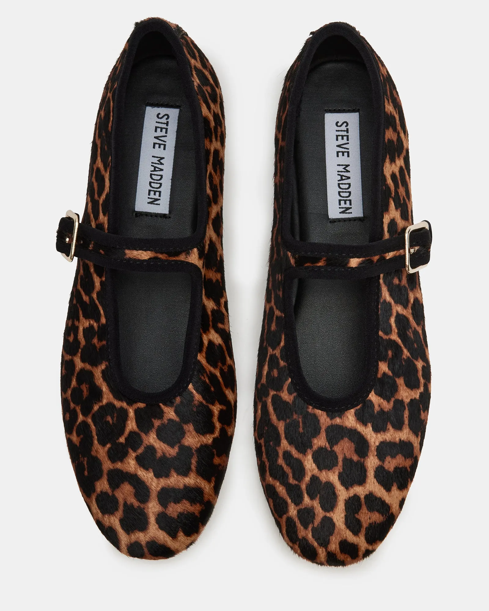 DREAMING LEOPARD sold by Steve Madden product image thumbnail 4