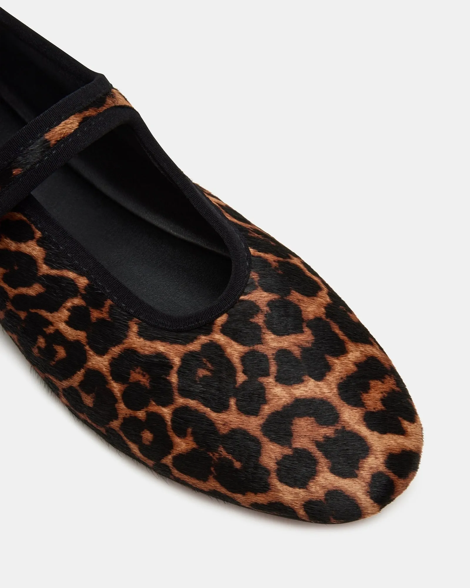 DREAMING LEOPARD sold by Steve Madden product image thumbnail 3