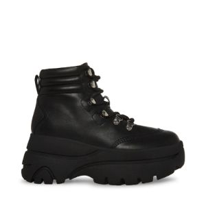 steve madden husky
