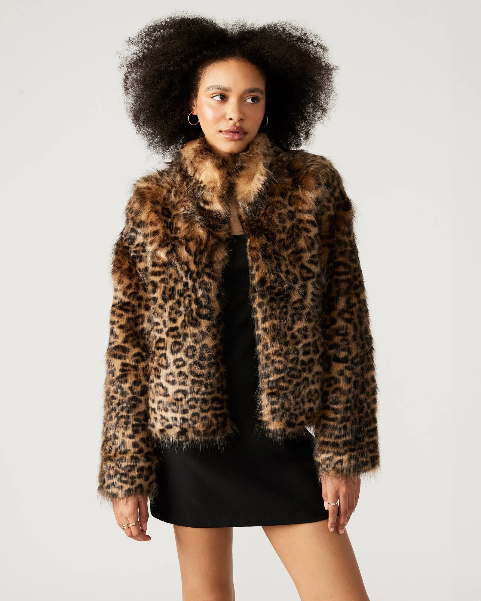 WILD CAT JACKET LEOPARD sold by Steve Madden