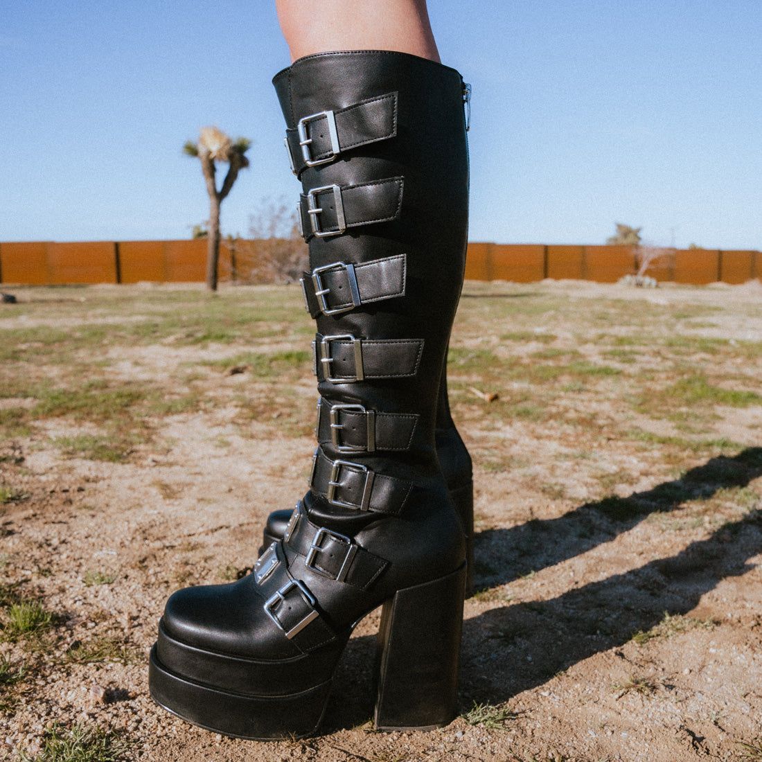 CASSIA BLACK sold by Steve Madden product image thumbnail 7