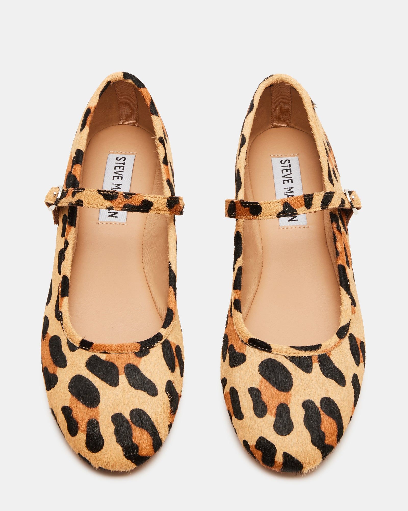 VINETTA LEOPARD sold by Steve Madden product image thumbnail 5