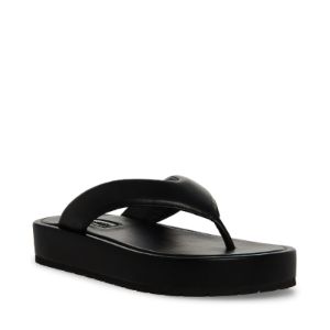 CAMPANA BLACK sold by Steve Madden