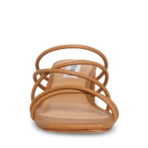 PAIGE TAN SNAKE - SM REBOOTED sold by Steve Madden