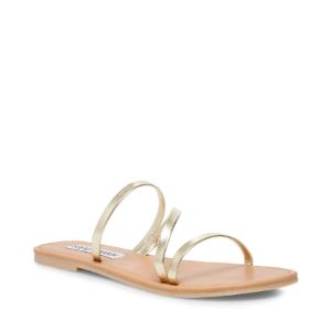 INVEST GOLD - SM REBOOTED sold by Steve Madden