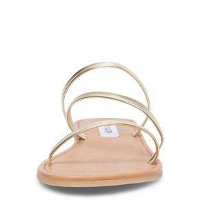 INVEST GOLD - SM REBOOTED sold by Steve Madden