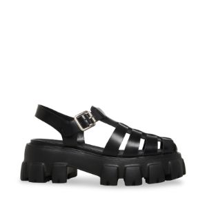 ECHO BLACK sold by Steve Madden