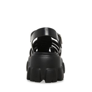 ECHO BLACK sold by Steve Madden