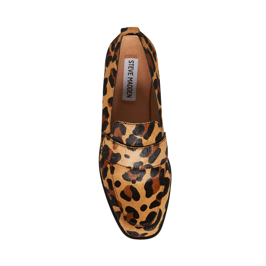 JUDITH-L LEOPARD - SM REBOOTED sold by Steve Madden product image thumbnail 4