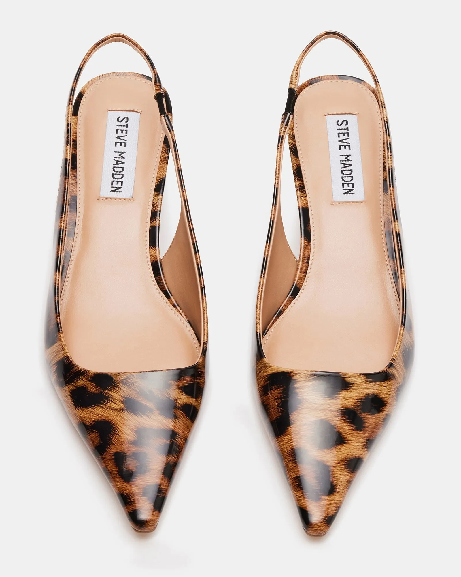 KARI LEOPARD PATENT - SM REBOOTED sold by Steve Madden product image thumbnail 4